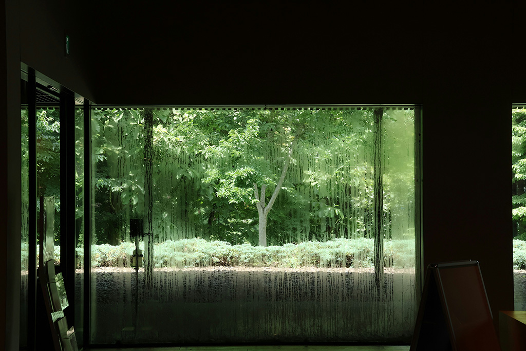 photo prise de l'intérieur d'une habitation, montrant un jardin à l'extérieur via une baie vitrée sous une épaisse buée. Besoin d'un dépannage climatisation ? Eugène et Gustave